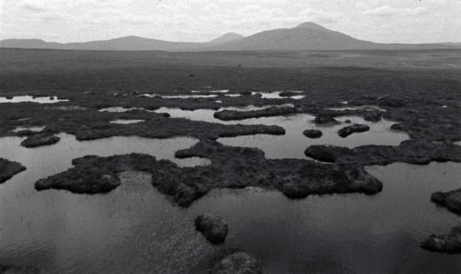 imgID102865279.jpg.gallery